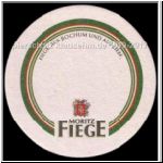 fiege (72).jpg